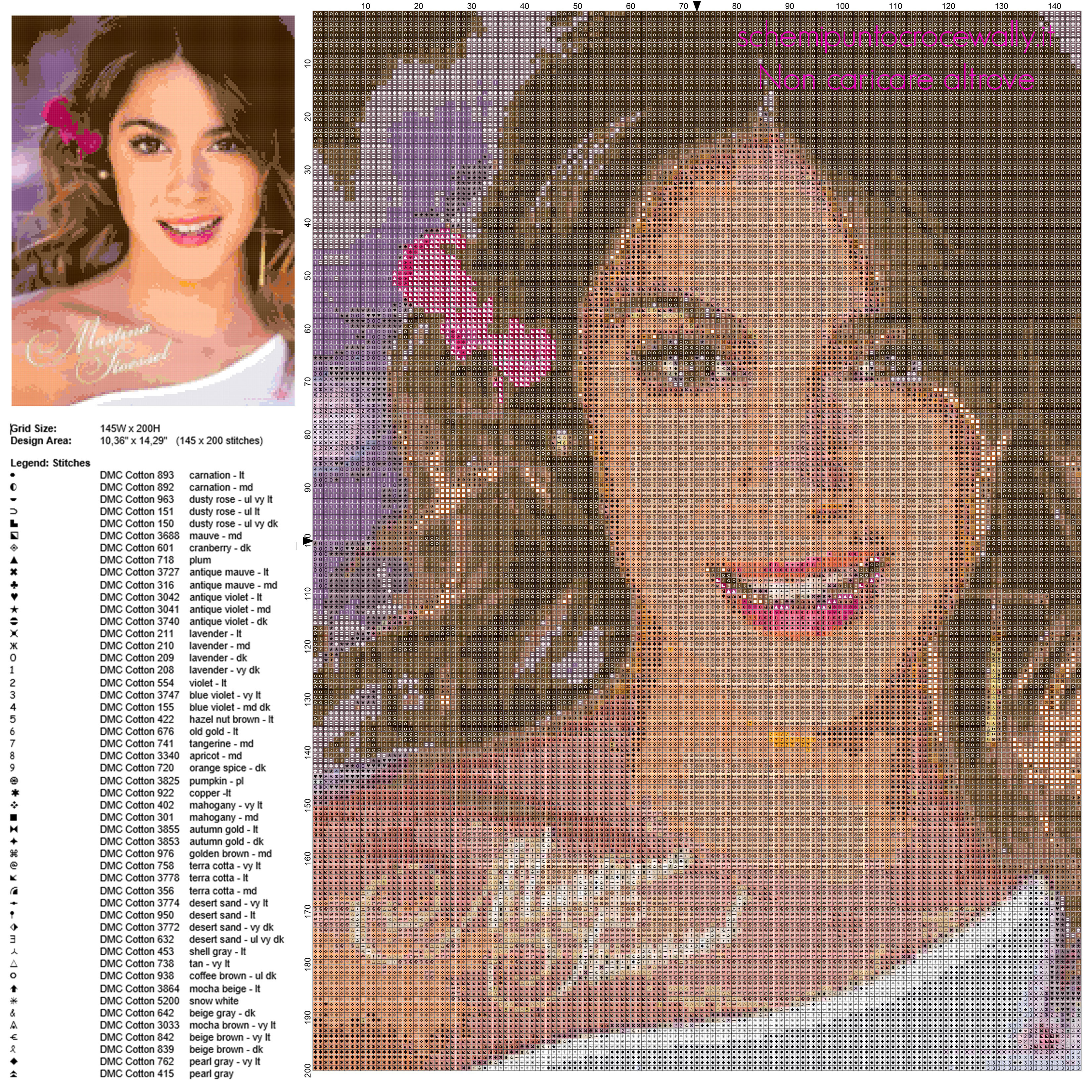 Martina Stoessel attrice Disney Violetta schema punto croce idea quadro casa 145 x 200 crocette