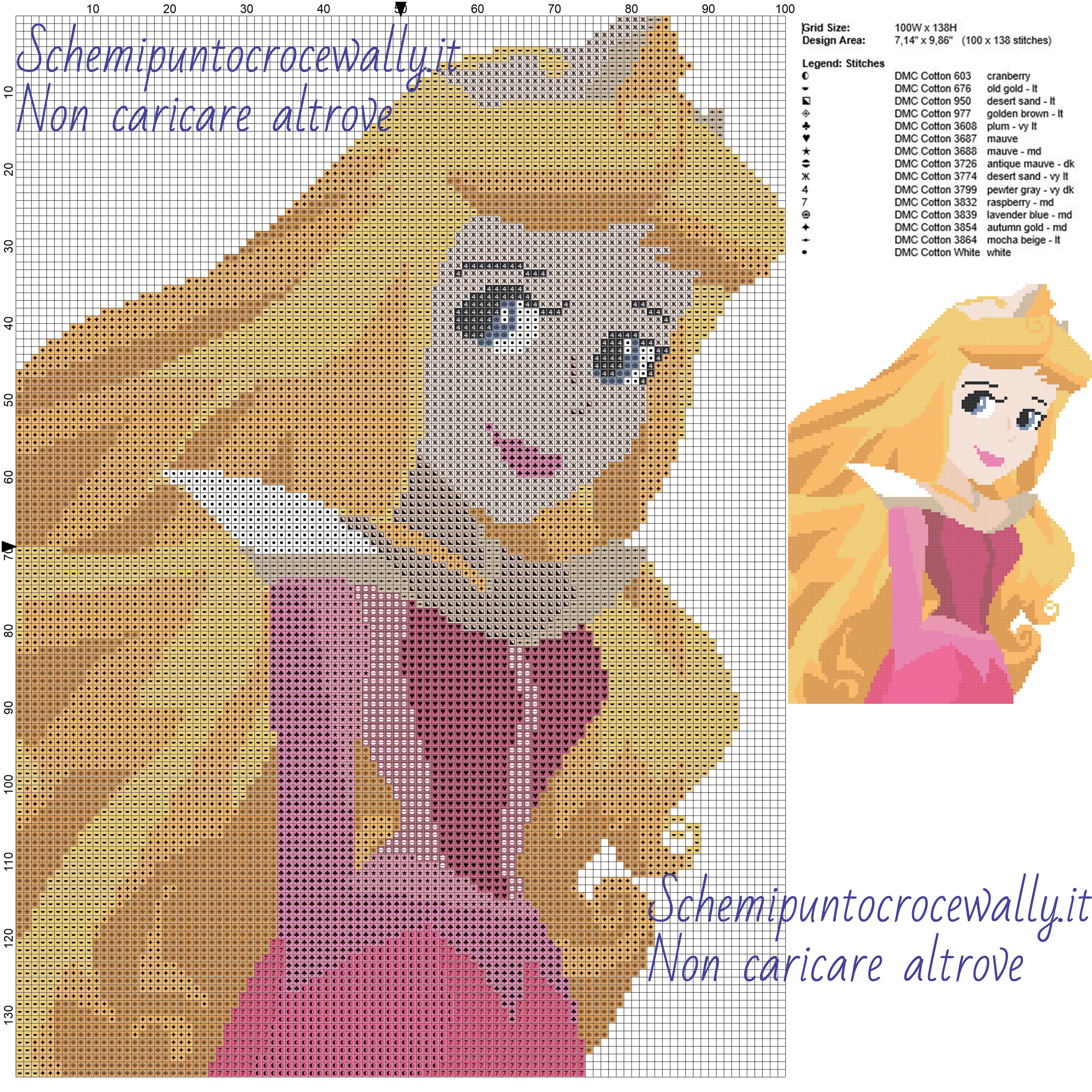 Principessa Aurora Disney schemi gratis disney a punto croce 100x138 15 colori