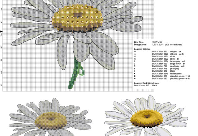 Un bellissimo fiore margherita con il punto scritto schema punto croce gratis