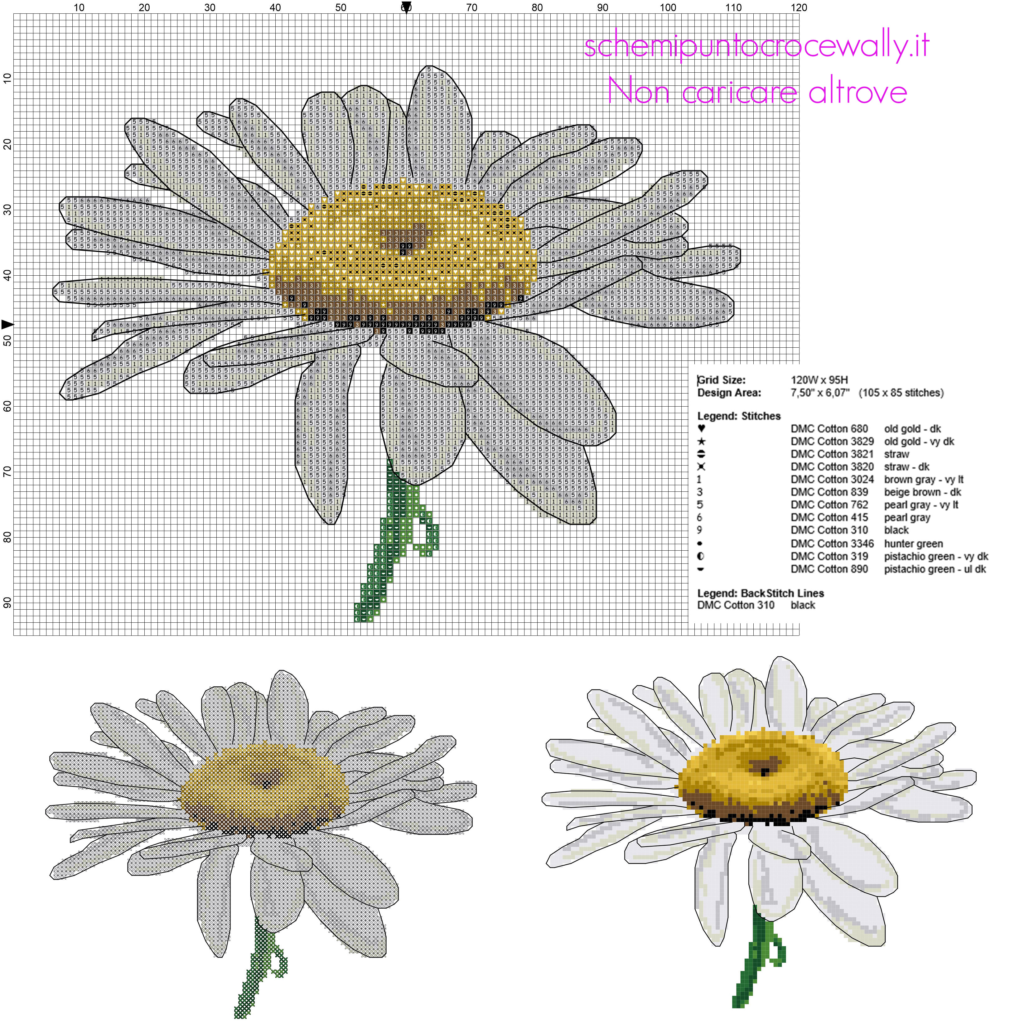 Un bellissimo fiore margherita con il punto scritto schema punto croce gratis